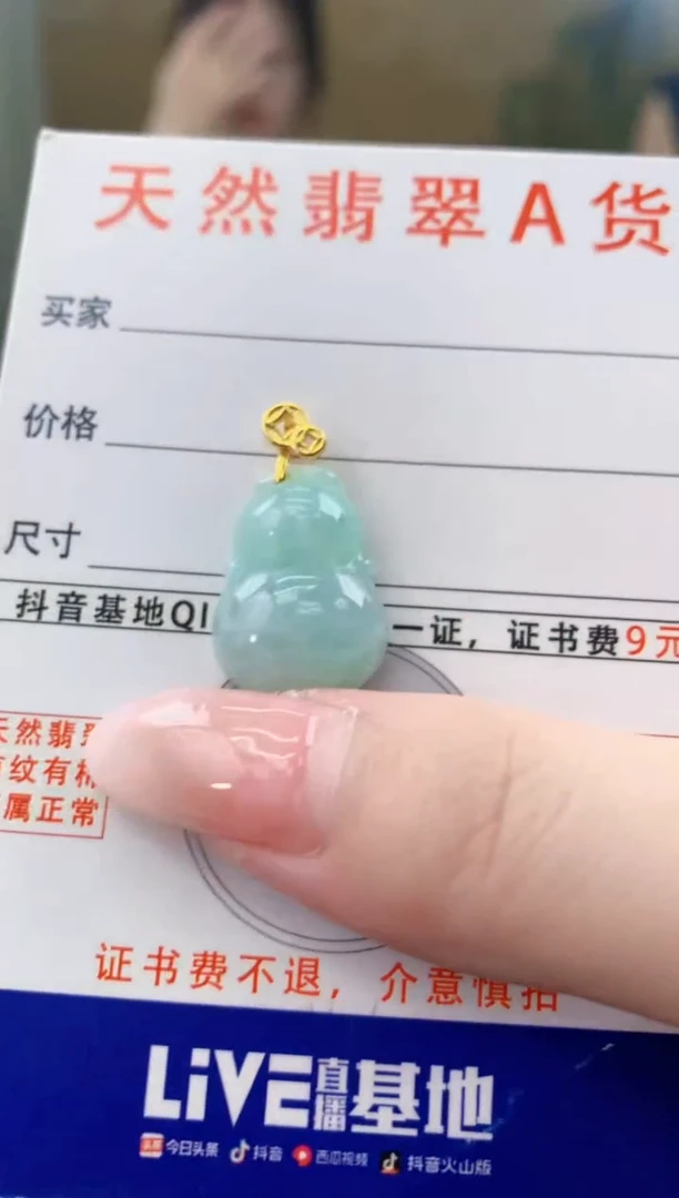 颈饰未镶嵌翡翠 天然A货翡翠挂件