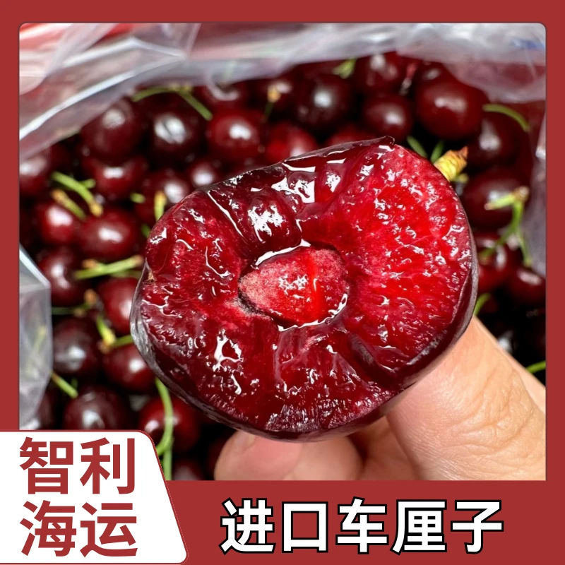 4JD 五斤原箱【今天拍明天到】智利海运车厘子 新鲜水果孕妇水果 内附果径卡W30桑提娜樱桃智利共和国