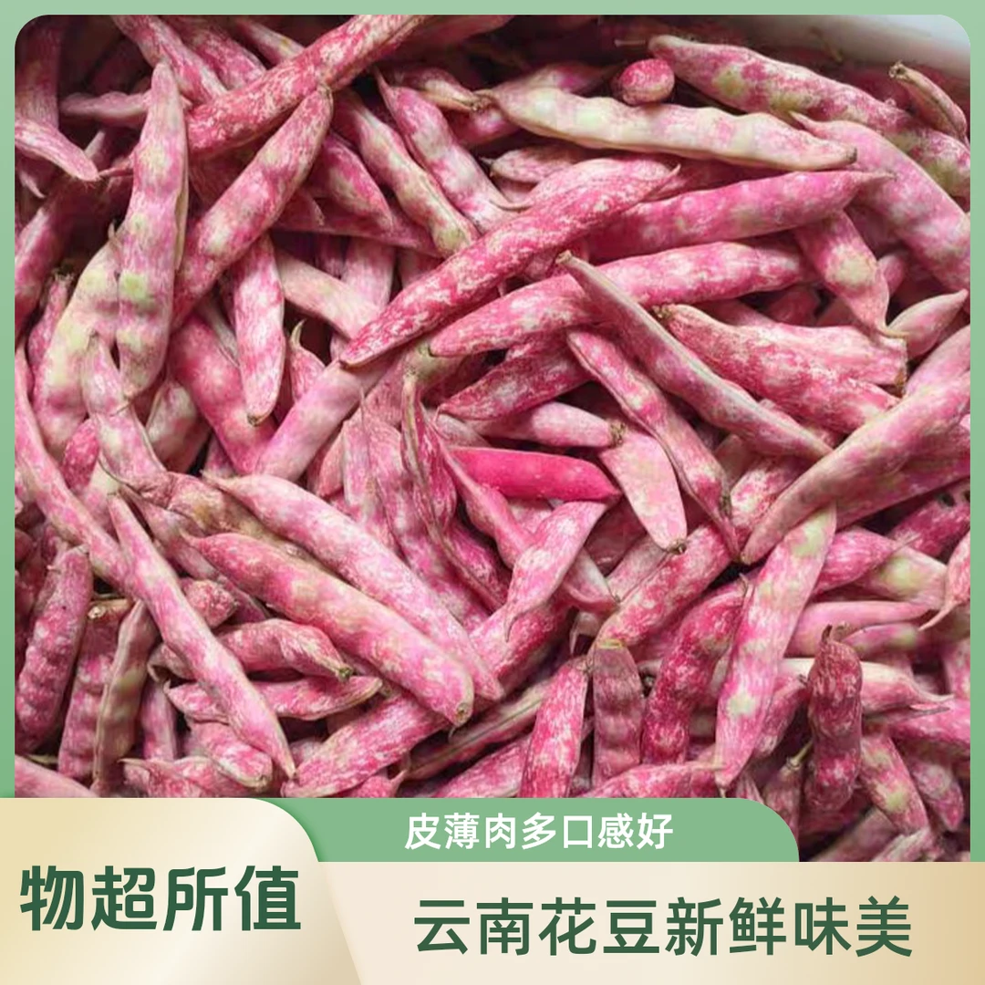 云南新鲜现摘雀蛋豆花豆角新鲜红金勾豆角皮薄口感饱满特产面豆
