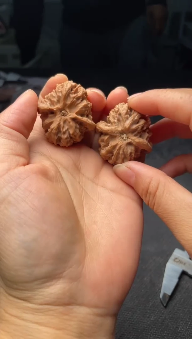 把件文玩核桃W100  苹果园  37