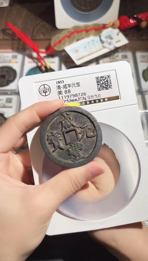 铜用****然111111111111111111