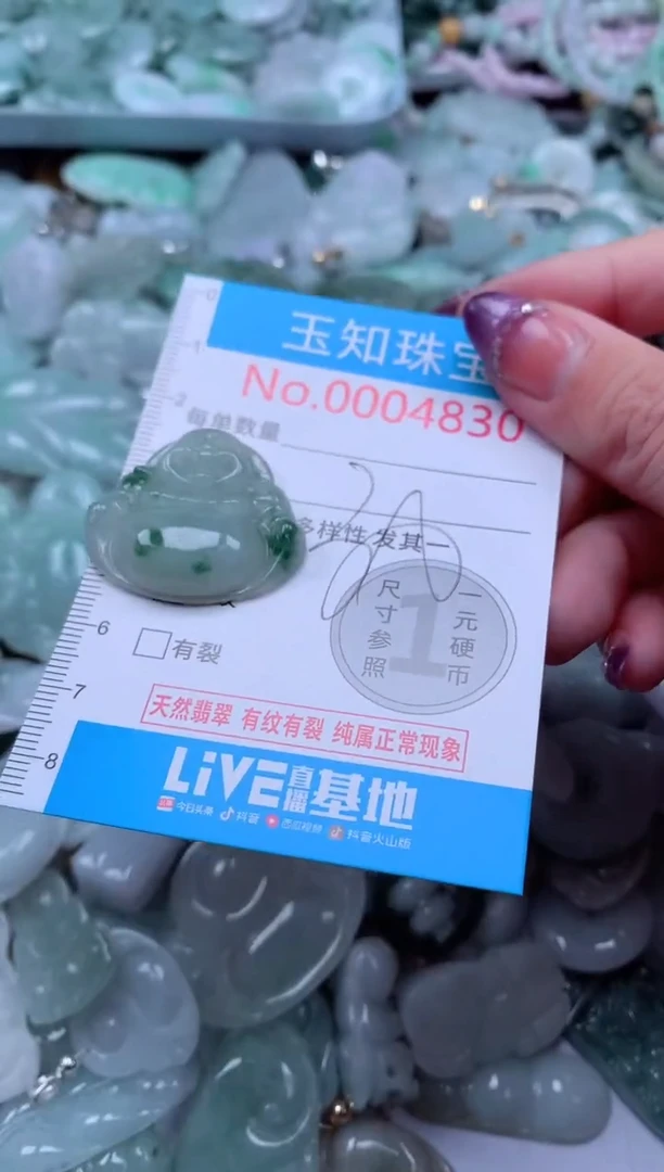 翡翠未镶嵌吊坠(不含链)4830