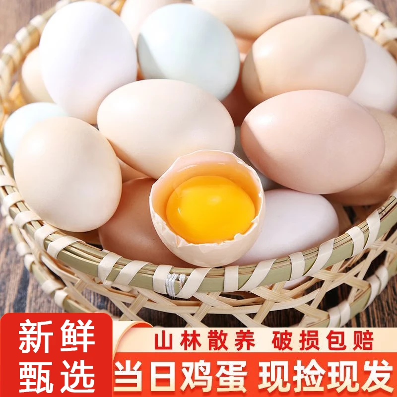 田农肴【50枚装】农家土鸡蛋山林散养谷物喂养鸡蛋现捡现发