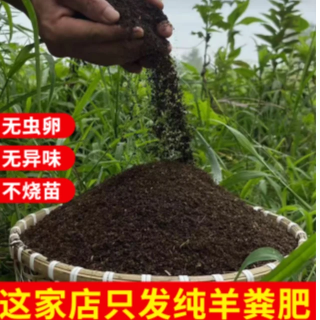 发酵腐熟纯羊粪养花种菜家庭园艺肥