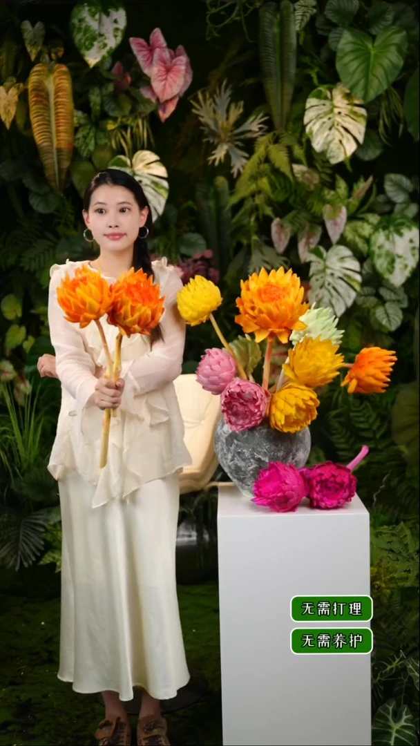 永生花洋蓟烈日橙2枝发货直径不低于10cm不售后