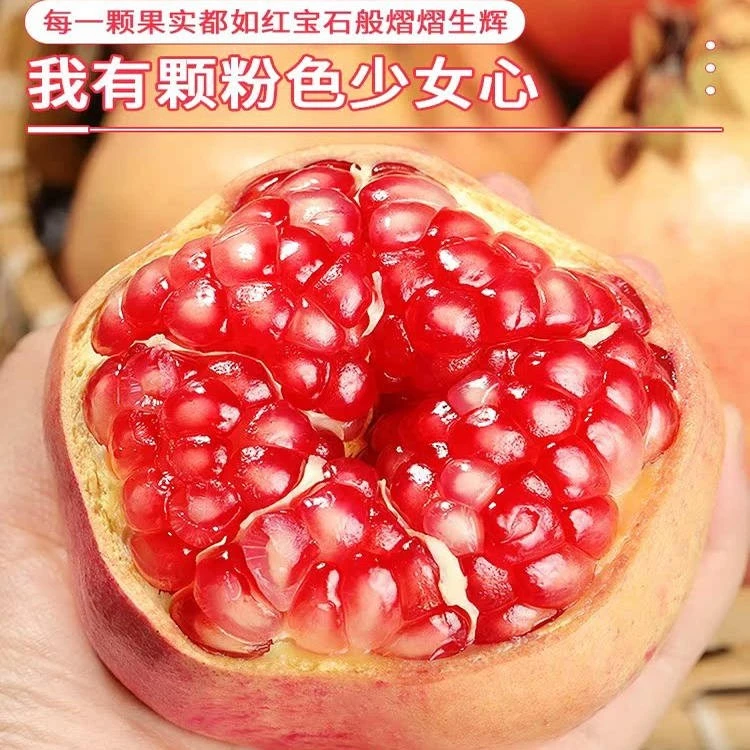 四川会理青皮软籽石榴新鲜当季水果红心甜石榴p