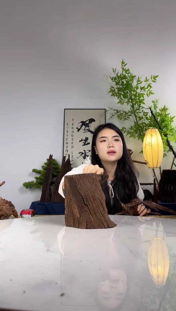 齐****鲨拍这个定向编号67