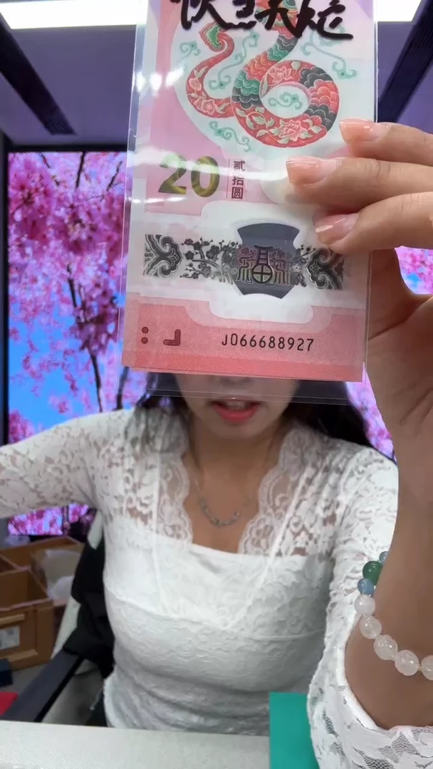 【闪购商品】塑料蛇钞一张066688927