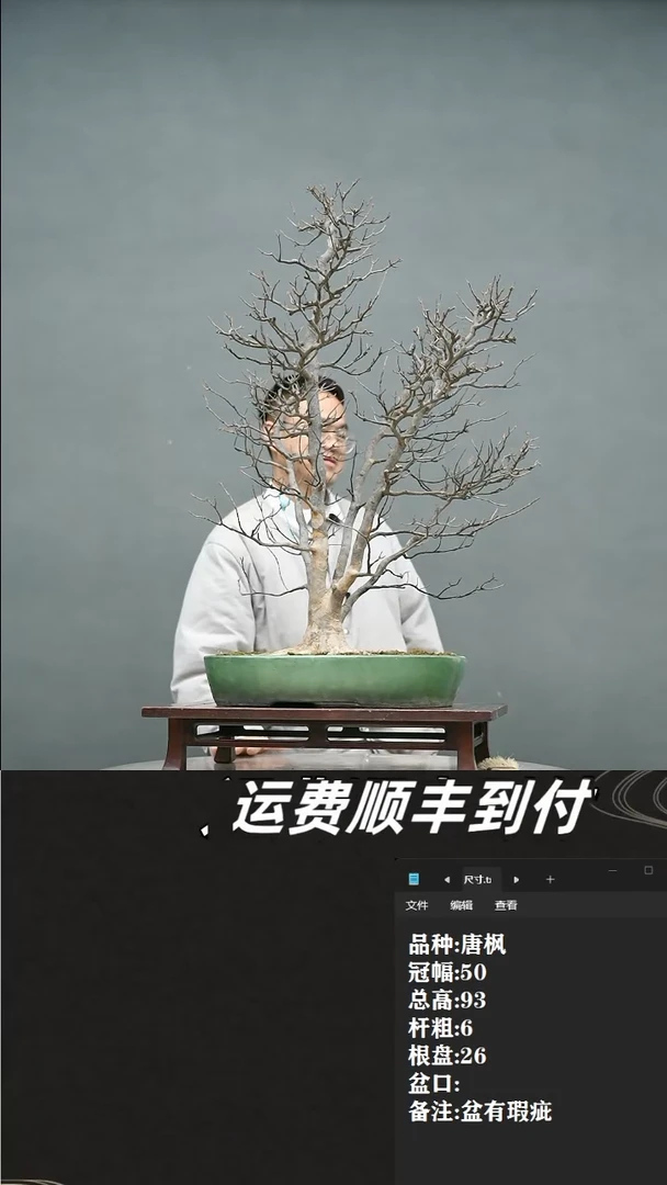【闪购商品】39 唐枫