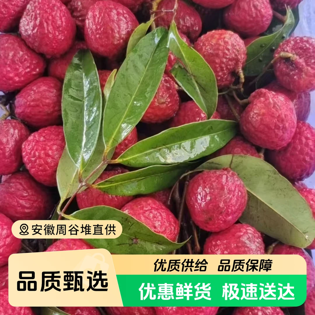 【周谷堆水果】仙进奉荔枝净重3斤皮薄纯甜多汁当季现摘鲜果（18）