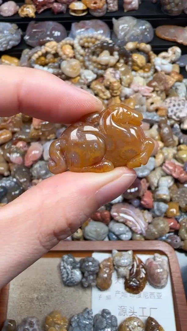 硅化珊瑚（珊瑚玉）未镶嵌颈饰725