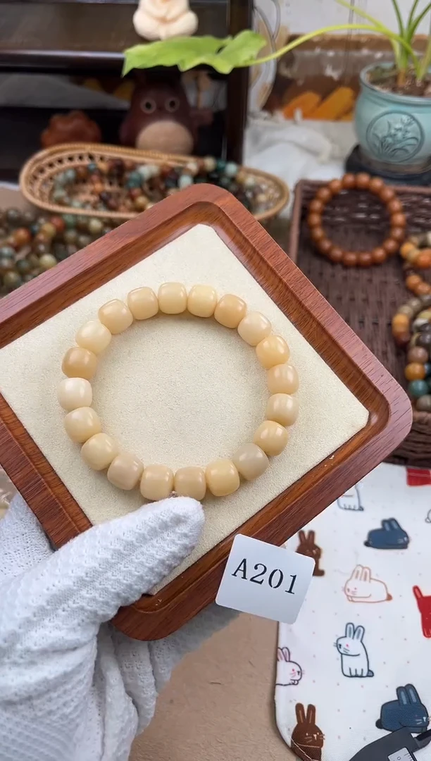 手串菩提根/象牙果a201 卡12.8 干磨海子