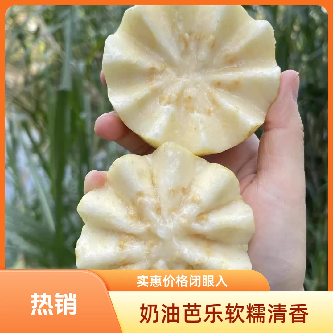 超级福袋1斤奶油芭乐白心番石榴尝鲜款