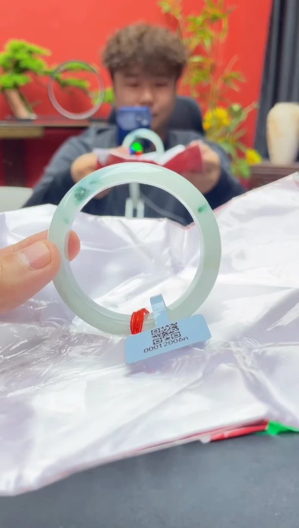 未镶嵌手镯翡翠3