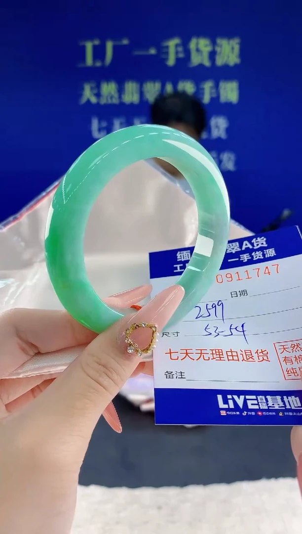 未镶嵌手镯翡翠47