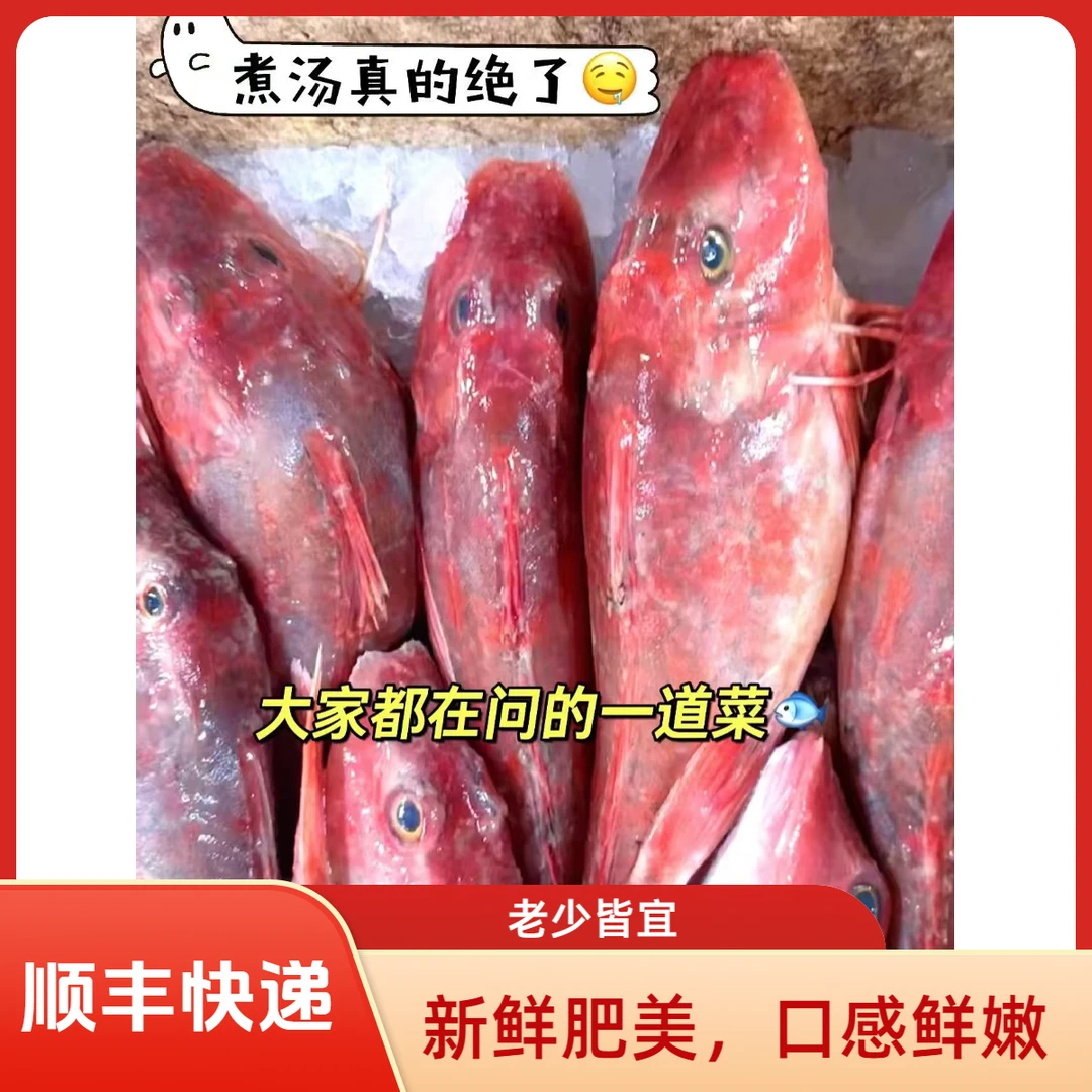 青岛当地新鲜捕捞红头鱼