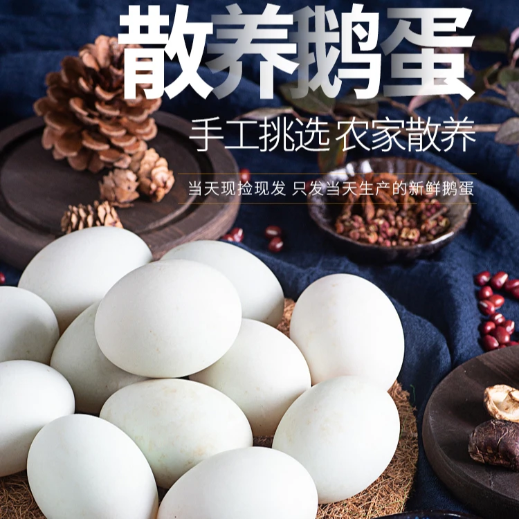新鲜土鹅蛋五谷散养农家大鹅蛋现捡现发坏损包赔顺丰发货真鹅蛋