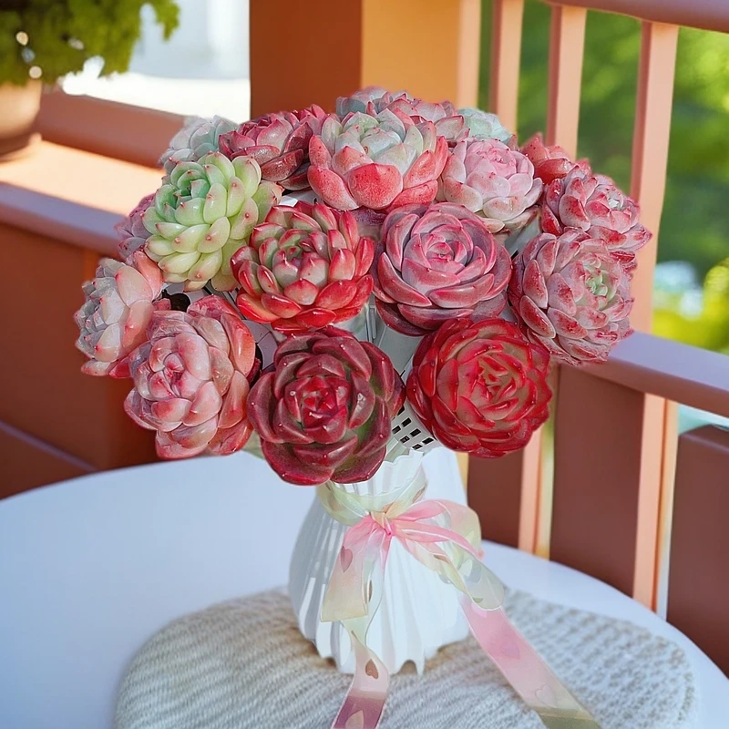 无土七彩缤纷花束品种不指定送礼办公室阳台好养易创意多肉