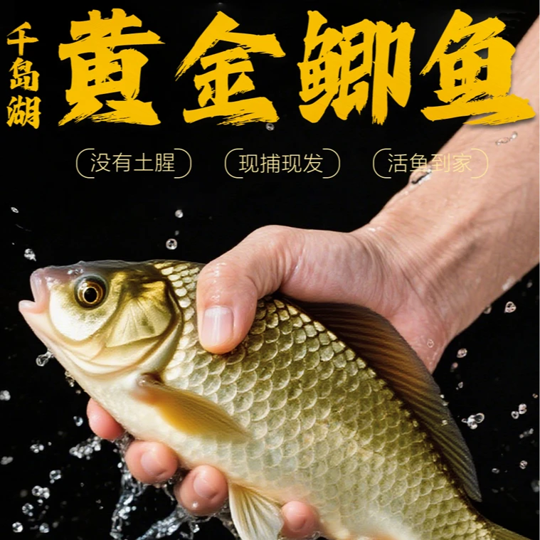 千岛湖黄金鲫鱼红烧炖汤清蒸老人小孩孕妈妈营养鲜