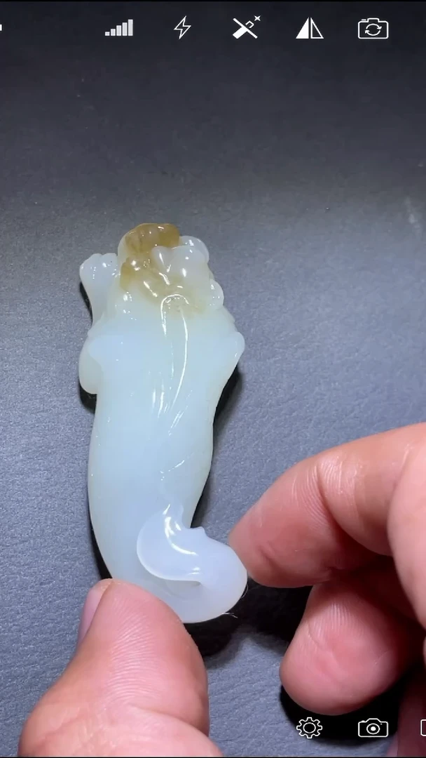 未镶嵌和田玉把件JY 鱼化龙