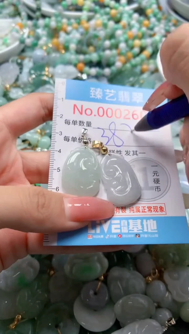 翡翠未镶嵌颈饰2606