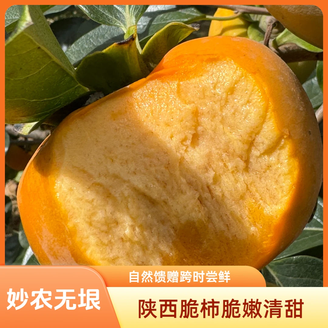 巧克力阳丰脆柿子，自然馈赠的甜蜜，让味蕾穿越时光