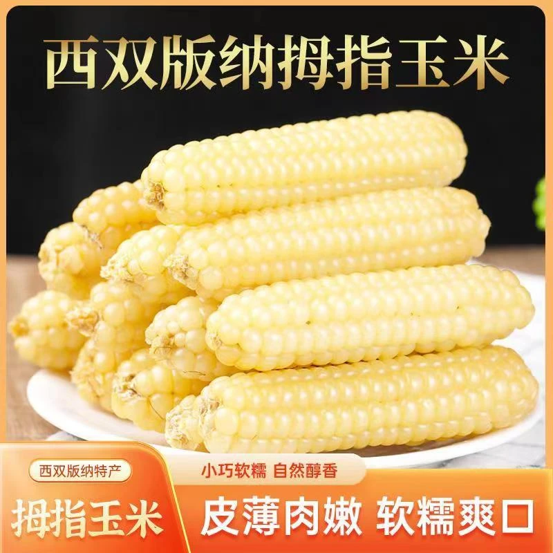 【年终专享！超值】西双版纳拇指玉米 香甜软糯营养丰富代餐-1