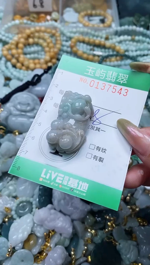 翡翠未镶嵌颈饰闪购0137543