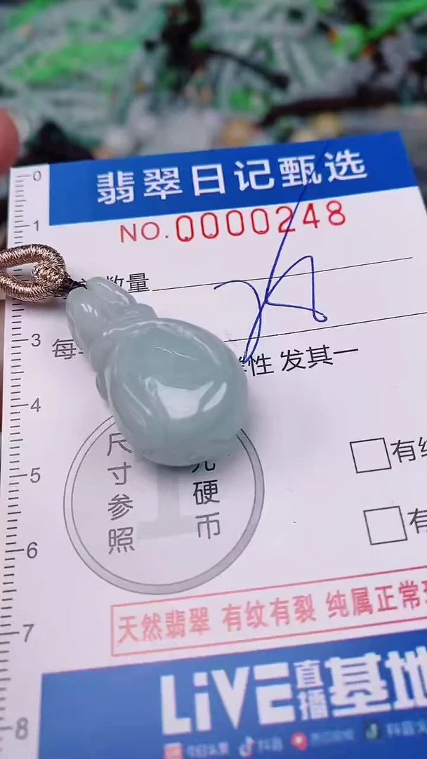 【闪购商品】翡翠颈饰未镶嵌00000248