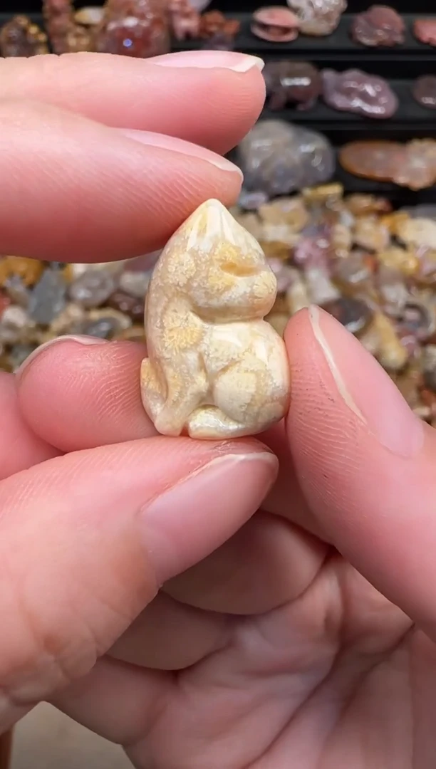 颈饰未镶嵌硅化珊瑚（珊瑚玉）540