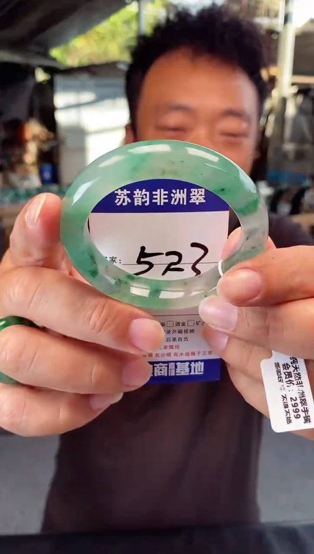 未镶嵌手镯石英质玉（非洲翠）54+