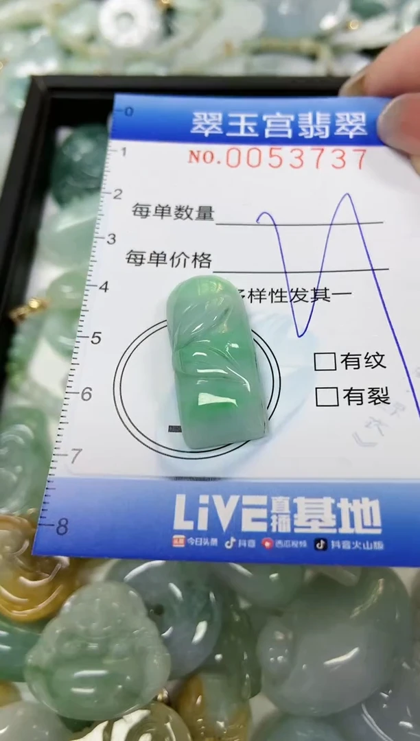 【闪购商品】翡翠颈饰未镶嵌闪购0053737