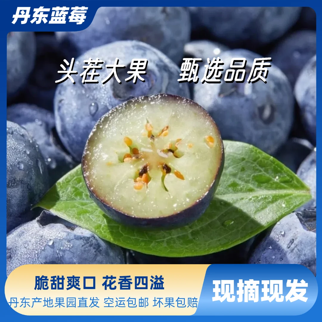 【买4盒送4盒】正宗丹东蓝莓 花香脆甜现摘现发 头茬直采冷链包邮