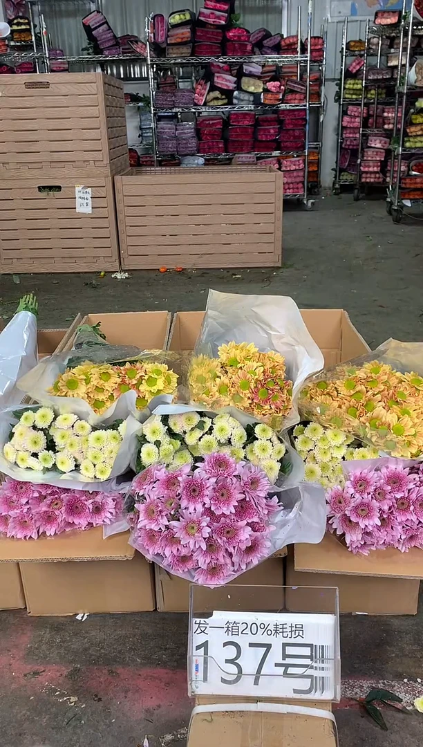 137号♥中通含20%耗损发一箱鲜花