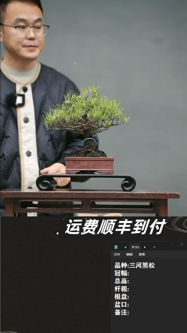 【闪购商品】7 三河黑松