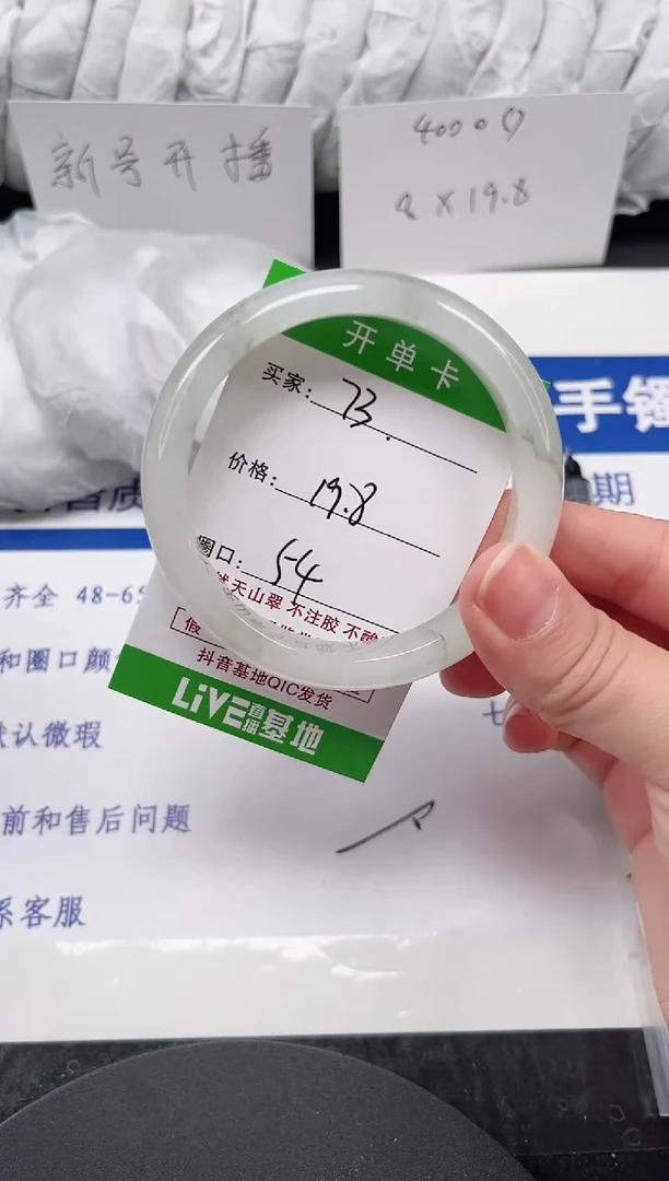 未镶嵌手镯石英质玉73-53/54