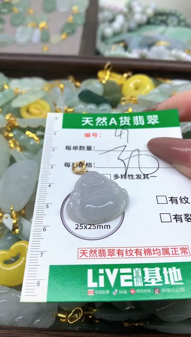 颈饰未镶嵌翡翠纯天然缅甸A货翡翠-49