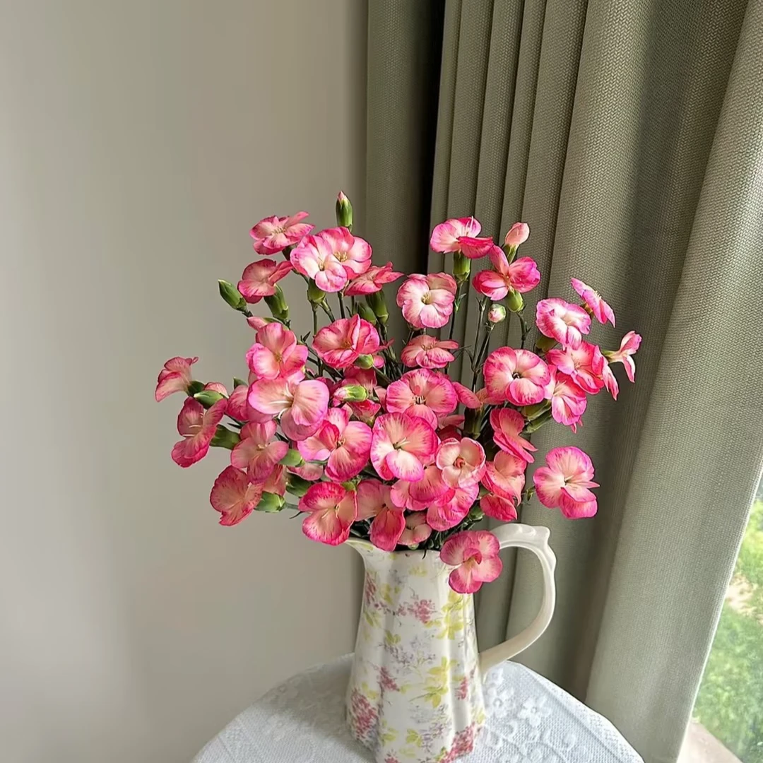 【一品花集】【沼泽】多头康乃馨 云南昆明基地直发家用鲜花