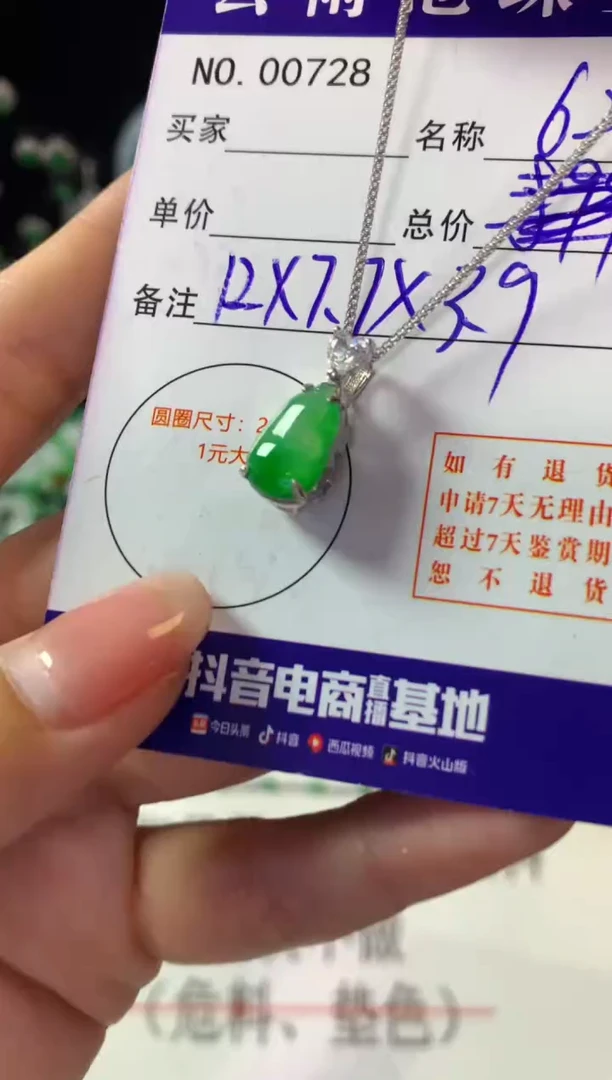 翡翠银S925镶嵌颈饰翡翠