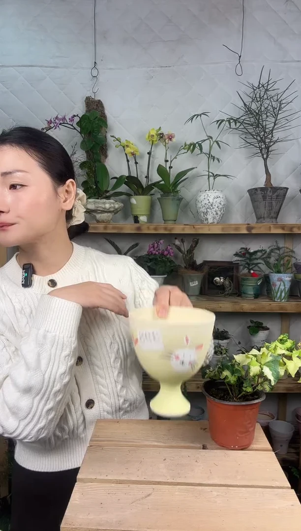 无花朵398编号      景德镇花盆