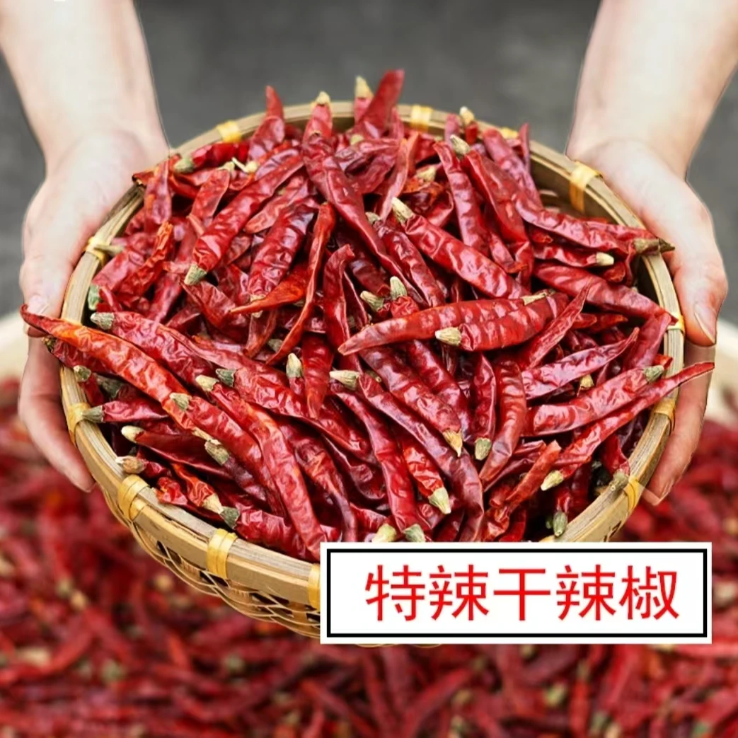 巨辣印度魔鬼椒/特辣干辣椒死神辣椒辣椒王爆辣包邮