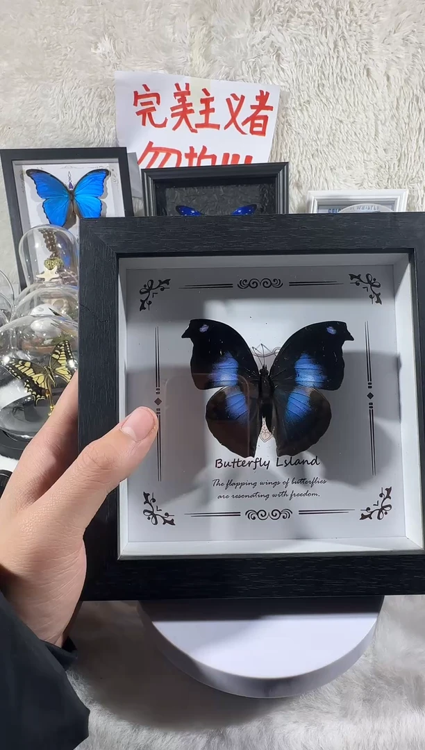 木爱情鸟蛱蝶相框