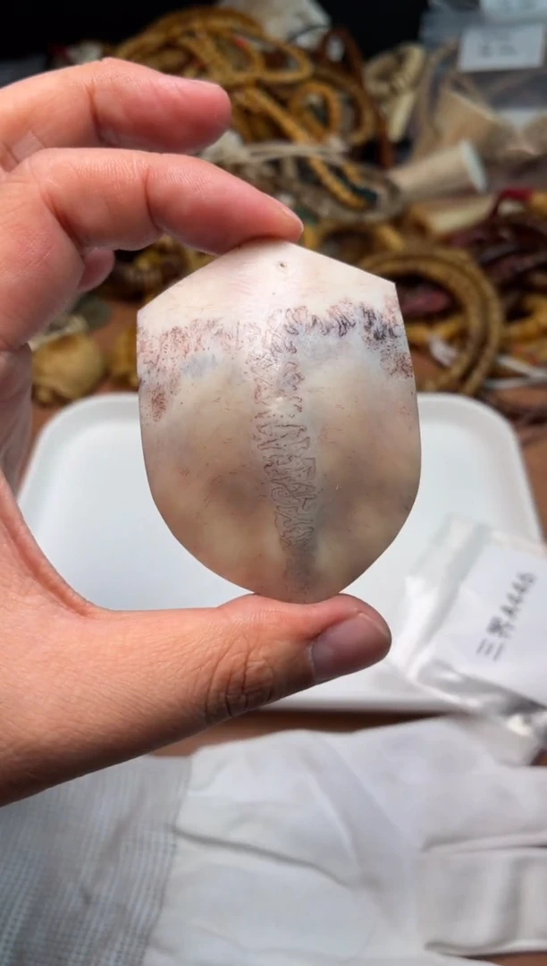 鹿骨其他母鹿三界A446