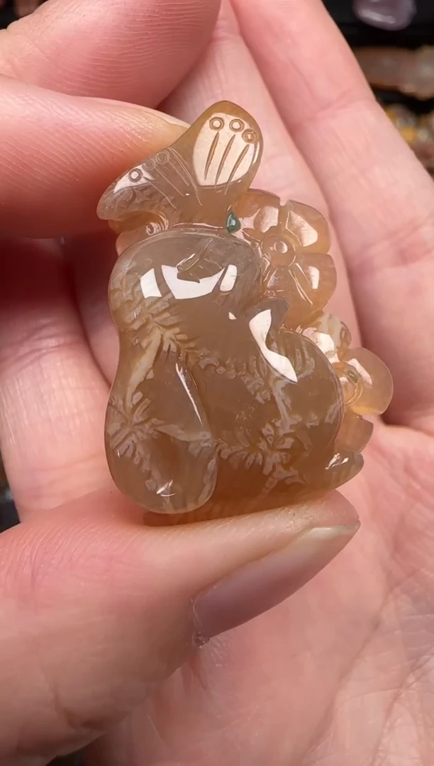 硅化珊瑚（珊瑚玉）未镶嵌颈饰385