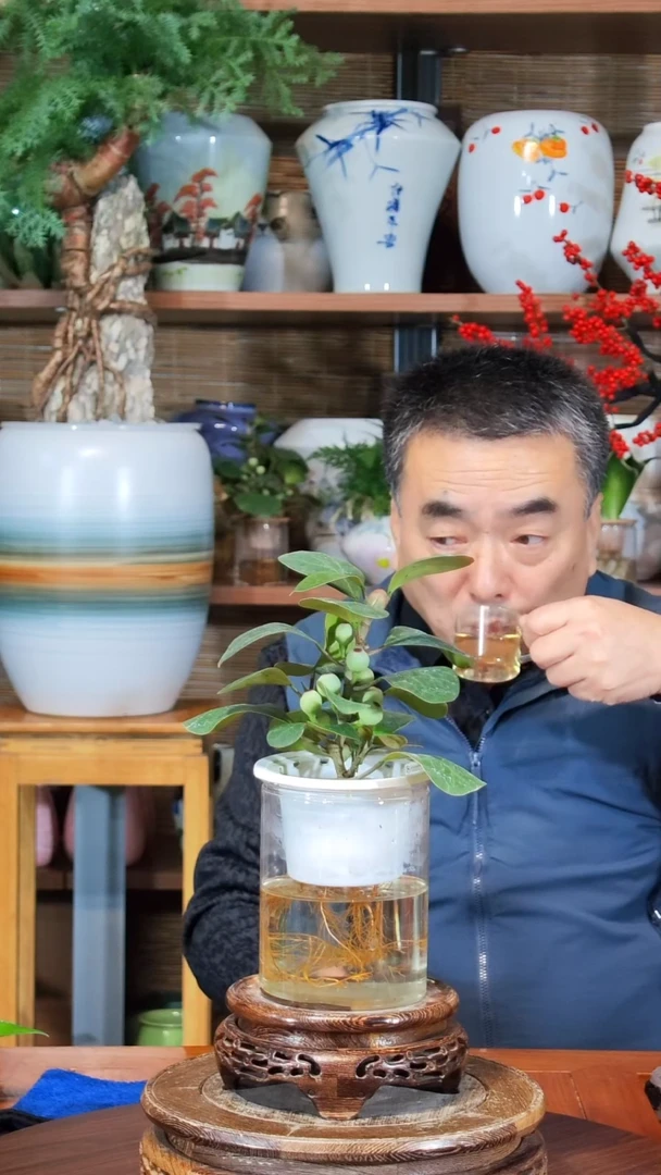 无花朵鸿**头水之韵水培菩提