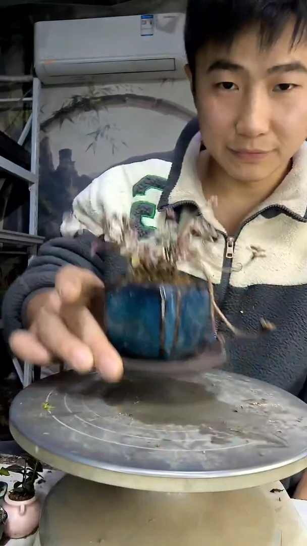 逸**～中青园艺一物一拍花197