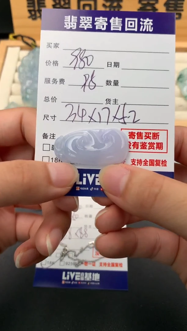 翡翠未镶嵌颈饰10140554