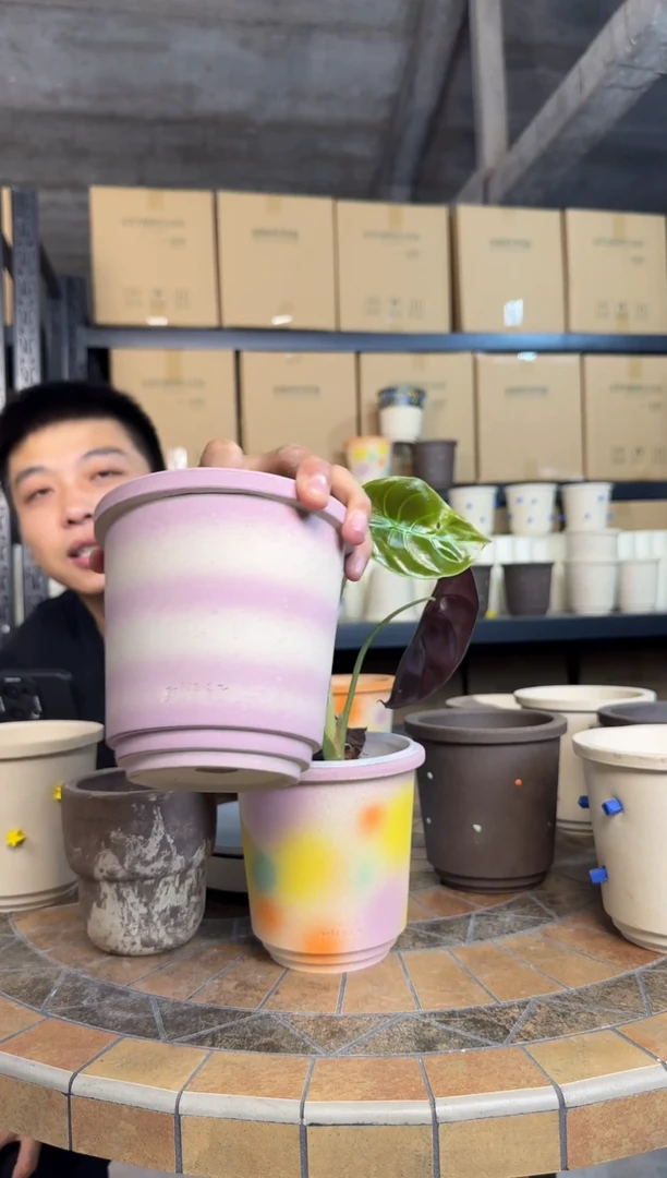 芋泥紫芋泥紫芋泥紫