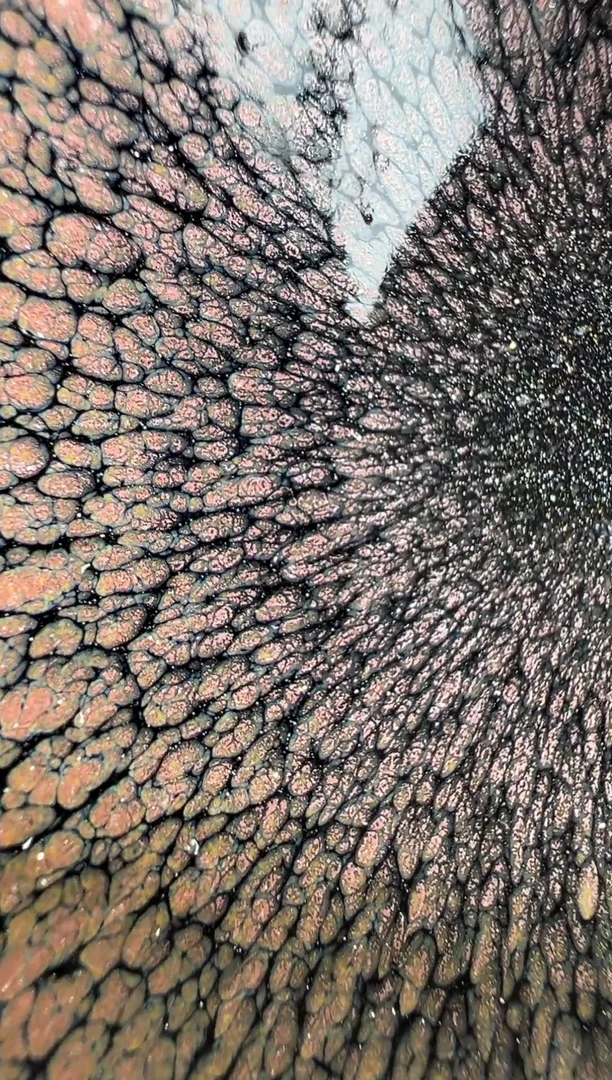 【闪购商品】茶盏老表精选柴烧89