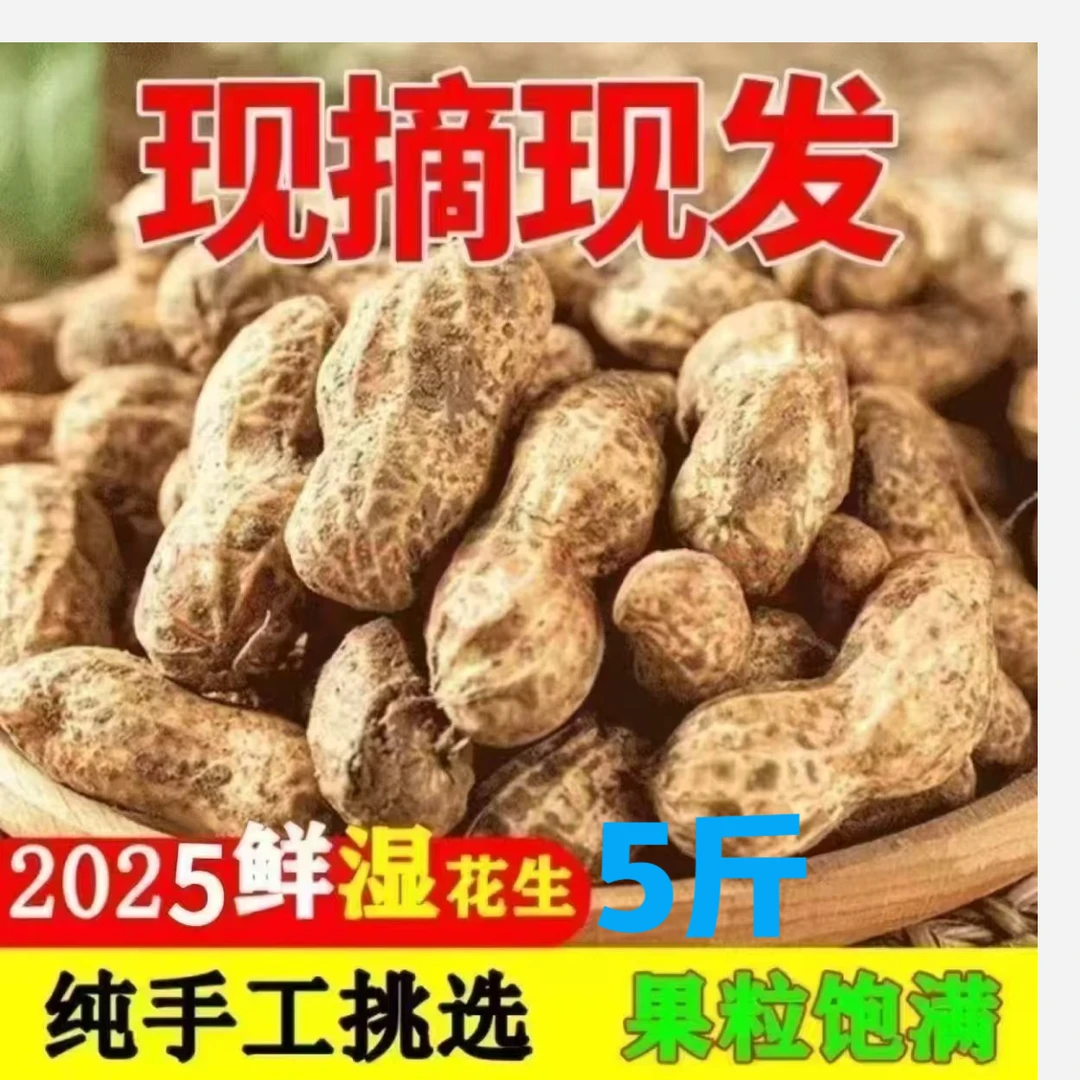 5斤2025新鲜现挖现发带壳湿花生微带泥土可水煮可晒干可油炸粉红